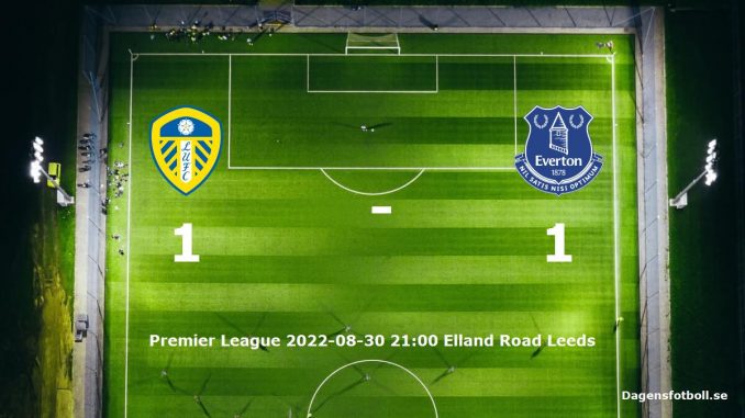 leeds-united-everton-slut-dagensfotbollse
