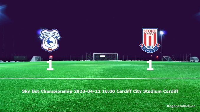 cardiff-city-stoke-city-slut-dagensfotbollse