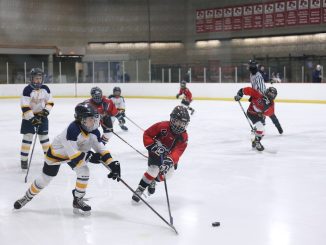 SDHL-slutspel så här blir det spännande hockey illustration