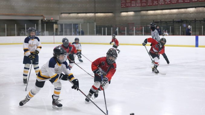 SDHL-slutspel så här blir det spännande hockey SDHL-slutspel så här blir det spännande hockey illustration